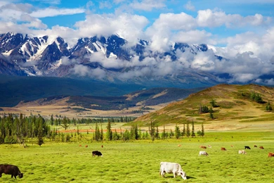 Desktop HD Nature Wallpapers