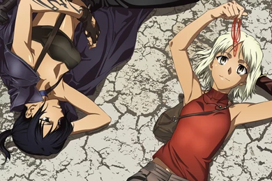 44 Canaan HD Wallpapers