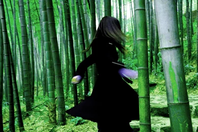 HOUSE OF FLYING DAGGERS Fantasy Drama Asian Martial Arts (22 ...