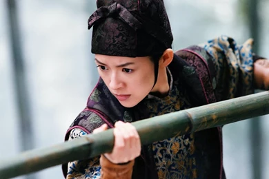 Zhang Ziyi Lo House Of Flying Daggers