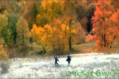 House Of Flying Daggers   (Takeshi Kaneshiro) HD   YouTube