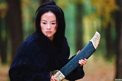 Zhang Ziyi   Dynasty Warriors 7 Empires Message Board For ...