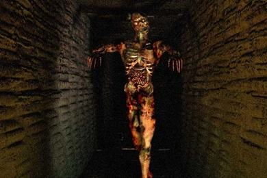 Dark Wing Zombie Hd Wallpapers   (