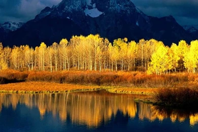 Nature Cool Desktop Backgrounds