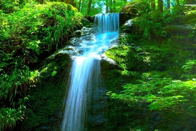 Waterfall Mobile Wallpapers : Nature Wallpapers   Semrawut