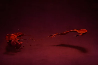 March 2012 Archives   The Experts Agree