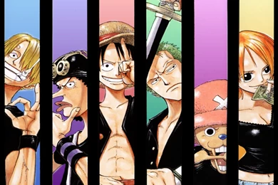 Straw Hat Pirates One Piece Wallpapers (25348174) Fanpop