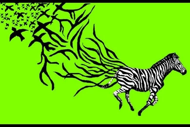 Zebra Wallpapers Yellow Green By Butterflywisper On DeviantArt