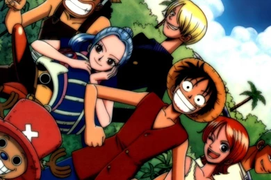 Straw Hat Pirates One Piece Wallpapers 25348085 Fanpop Fanclubs ...