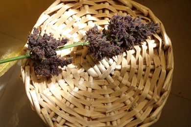 Top Purple Kush Wallpapers The Wallpapers