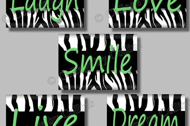 Wall Decor Zebra   Home Design