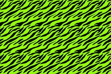 Eletric Green Zebra Print iPhone Wallpapers   Animal Print Wallpapers
