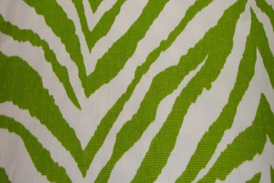 Download.php?filename=desktop green zebra wallpaper dowload 540x960.jpg