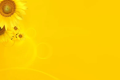 JavaScript/JQuery Change Backgrounds On Scroll Stack Overflow