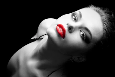 Beautiful Flower Red Rose Photo Wallpapers