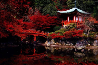 Yamaguchi Japan Landscape Wallpapers HD Free Download