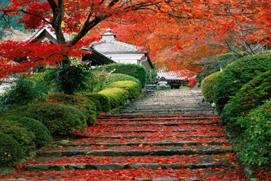 Download Japan Landscapes Wallpapers 1920x1080