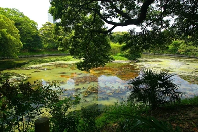 Park Lake  Japanese Garden Art Landscape Wallpapers   1366x768 ...