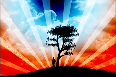 Japanese landscape tree clouds sun rays desktop 1024x768 wanted ...