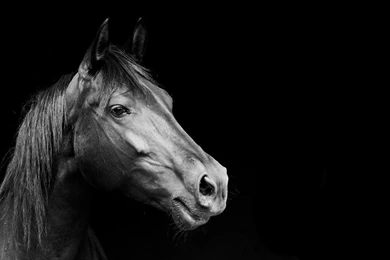 Download Black And Wallpapers 1366x768