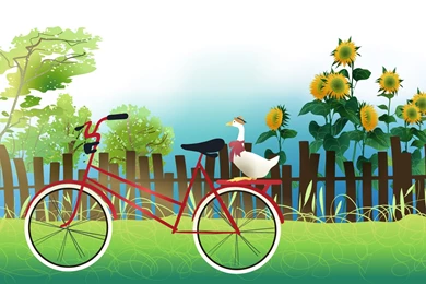 New Bicycles For Kids   HD Wallpapers Widescreen   1920x1200