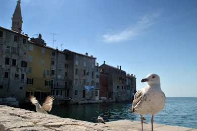 Mediterranean Wallpapers