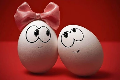 Funny Hd Wallpapers For Laptop 2.jpg