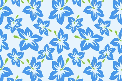 Clipart   Hibiscus Flowers Seamless Backgrounds