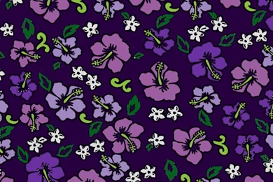 Purple Hibiscus Background Images