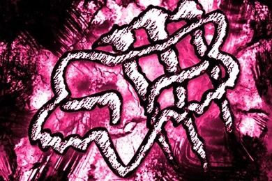 Monster Energy/fox Racing