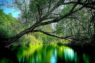 3D Nature Wallpapers Desktop For Windows 7