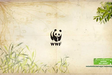 Wwf Panda Wallpapers
