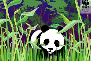 Wwf Wallpapers Animals