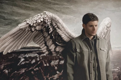 Supernatural Wallpapers Phone   Nekeran.com