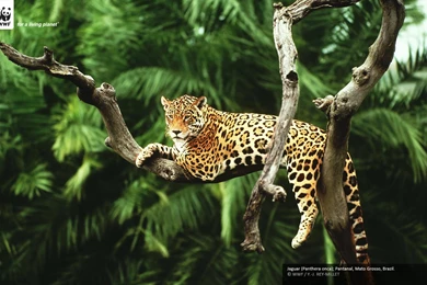 Major Wetlands Of The World