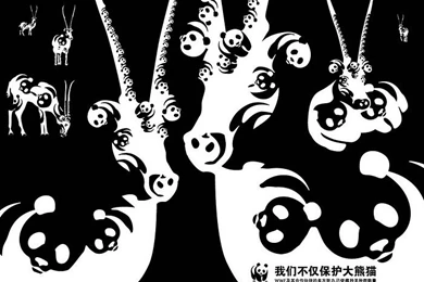 WWF World Wide Fund For Nature (WWF) PSAs Wallpapers 31236 ...