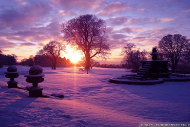 Winter Sun Wallpapers 2   Crazy Frankenstein