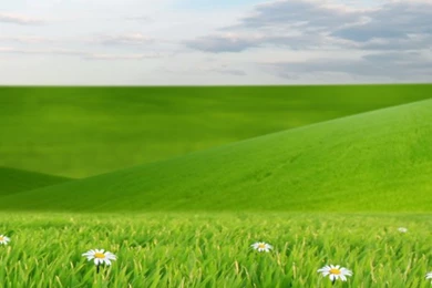 Green iPhone 6 Wallpapers HD