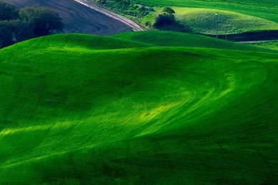 Download Green iPhone Wallpapers