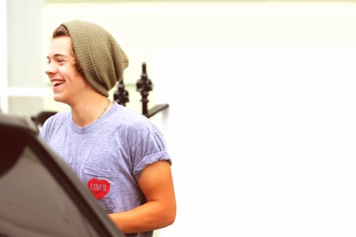 Harry's Wallpapers <3333   Harry Styles Wallpapers (32165778)   Fanpop