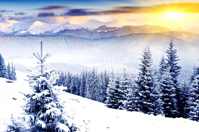 WINTER SUN WALLPAPER   (