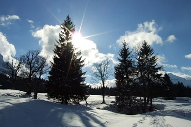 Winter Sun Wallpapers