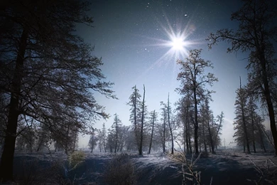 Download Wallpapers 1920x1080 Winter, Sun, Light, Morning, Snow ...