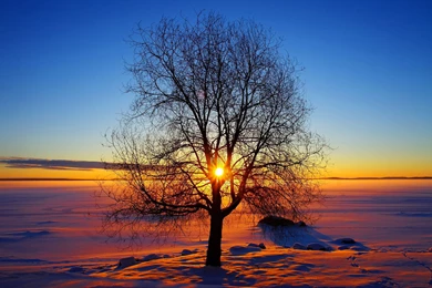 Winter Sunshine — Crafthubs