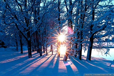 Winter Sun 70169 HD Wallpapers