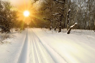 FIRST WINTER SUN WALLPAPER   (