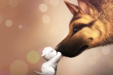 Cute Kitten And Puppy Animal Artwork Wallpapers