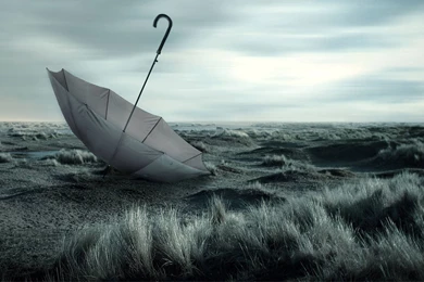 Alone Prarie 1920×1080 Wallpapers 942854