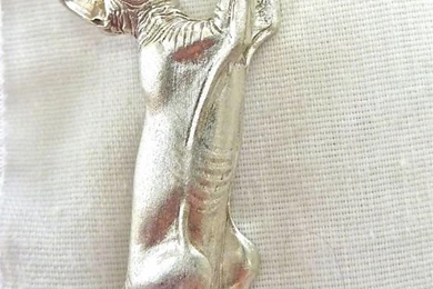 Sphynx Cats ❤   On Pinterest