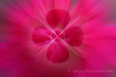 Sanjay Photo World: Photoshop Backgrounds Vol. 01